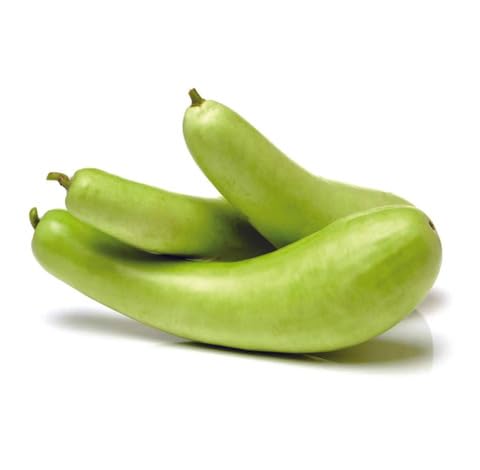 Green Bottle Gourd - Heirloom, Non - Gmo Seeds