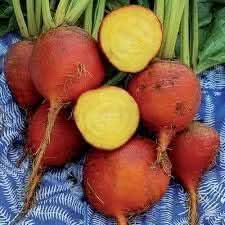 Red Beetroot Seeds for Planting