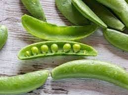 Pea Vegetable Seeds for Planting