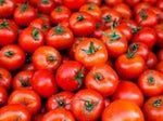 Tomtato hybrid seeds for home garden planting
