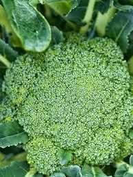 Broccoli Vegetable Seeds for Planting