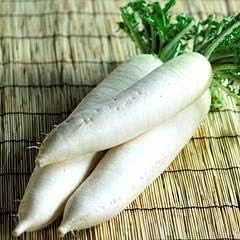 White Radish Seeds for Planting