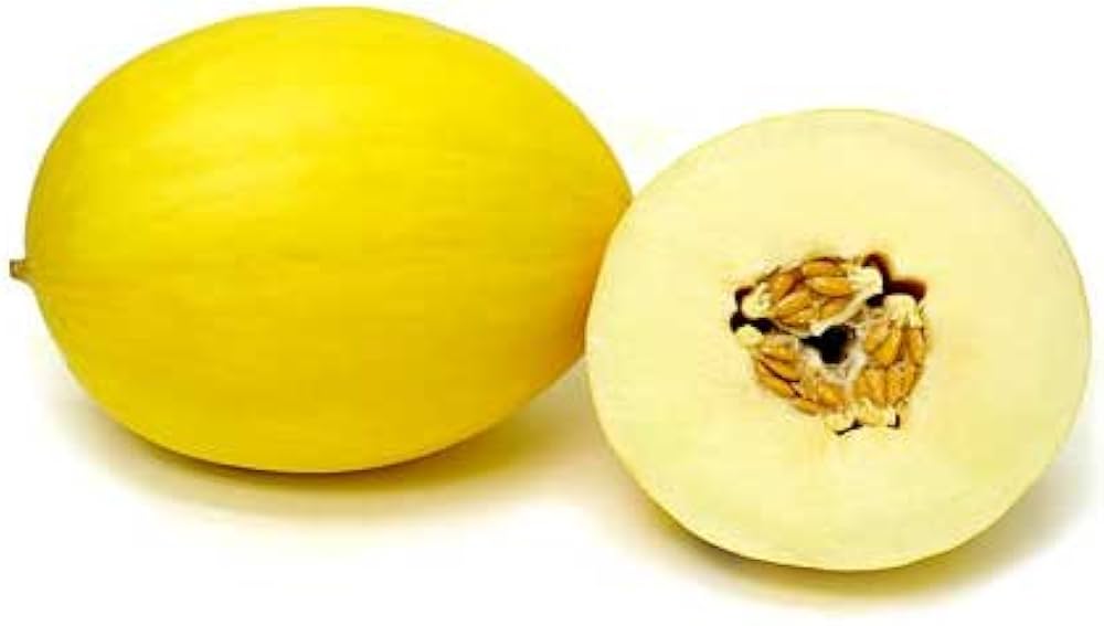 Gold Melon Fruit & Vegetables Seeds (Cucurbito) Seeds
