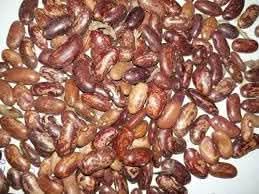 Bush Lima Bean Seeds for Planting