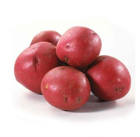 Red Potato