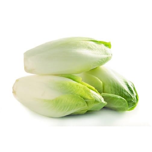 Green Endive - Heirloom, Non - Gmo Seeds