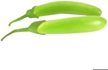 Green Eggplant Vegetable Seeds for Planting - heirloom & Non-GMO Seeds