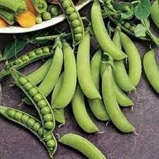 Snap Pea Vegetable Seeds for Planting