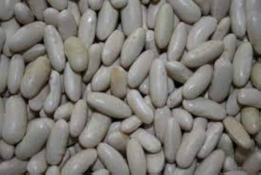 Tenderette Green Bean Seeds Phaseolus vulgaris for Planting in Home Garden