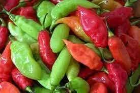 Trinidad Pimento Pepper Seeds for Planting