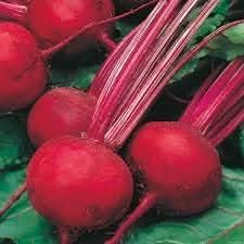 Beetroot Fruit Seeds for Growing Nutrient-Rich and Earthy Beetroots