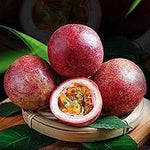 Passion fruit Passiflora edulis seeds for backyard garden