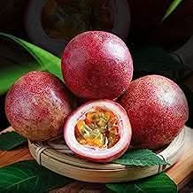 Passion fruit Passiflora edulis seeds for backyard garden