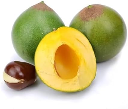 Green Lucuma Fruit - Heirloom, Non - Gmo Seeds