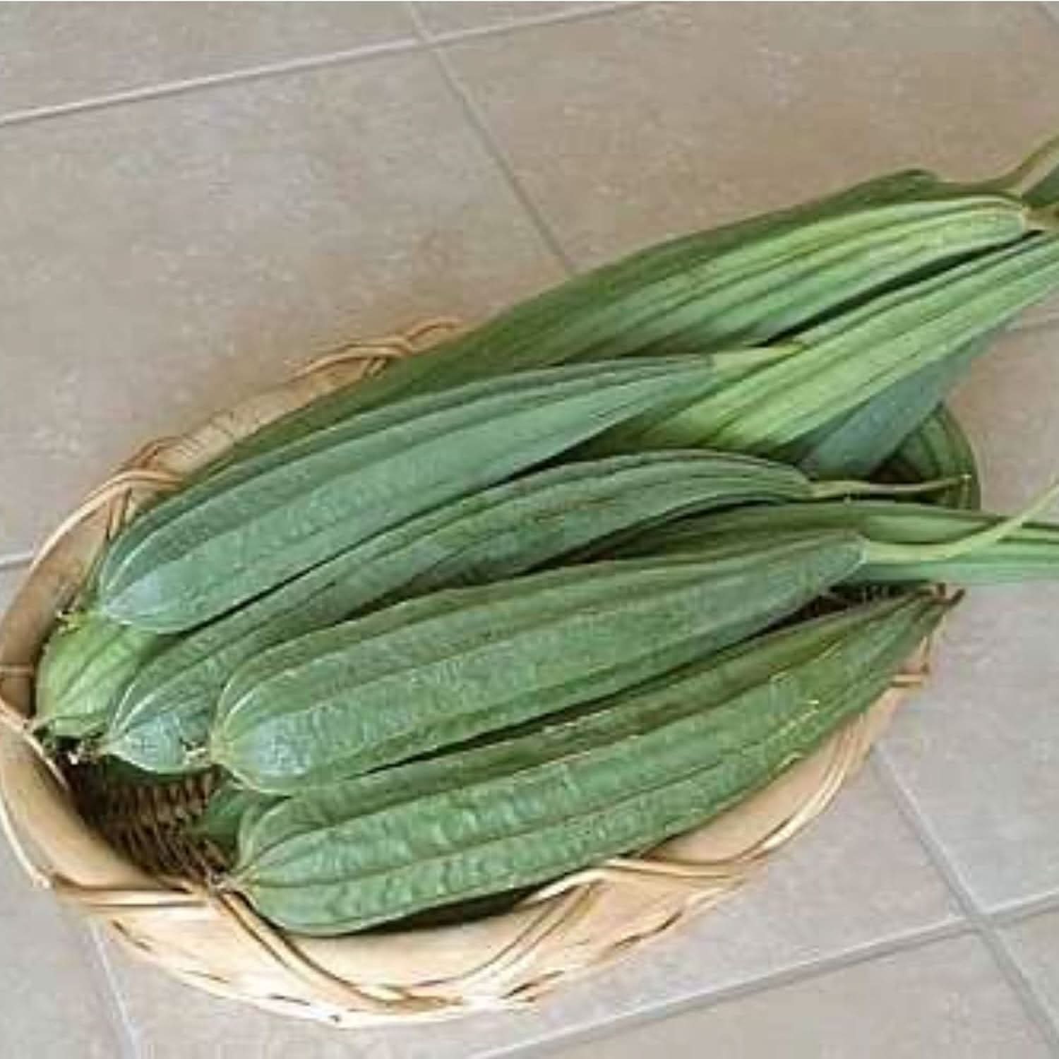 Ridge Gourd Luffa acutangula seeds for garden planting