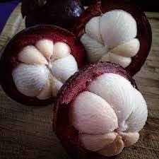 Mangosteen Fruit Seeds for Planting - Growing Sweet & Exotic Tropical Fruits, GMO Free