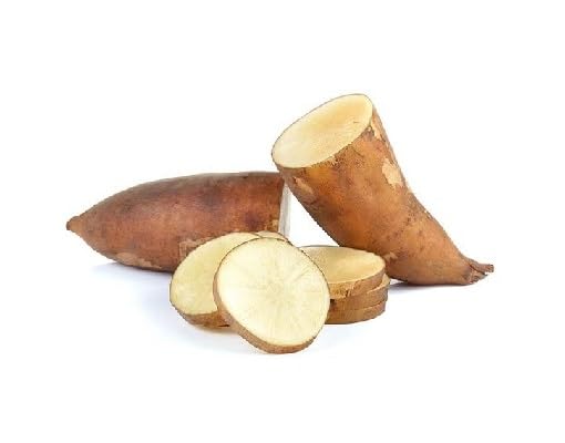 Brown Yacon - Heirloom, Non - Gmo Seeds