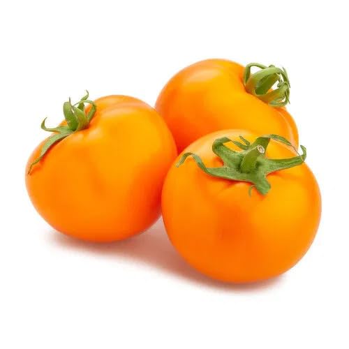 Orange Tomato