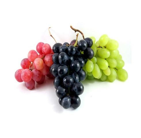 Mixed Grapes Fruit - Heirloom, Non - Gmo Seeds