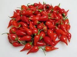 Biquinho Vegetable Seeds for Planting heirloom & Non-GMO Seeds