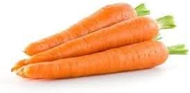 Carrot Daucus carota seeds for planting in vegetable bed