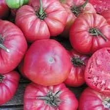Tomato Seeds for Planting Dark Pink
