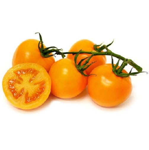 Orange Tomato - Heirloom, Non - Gmo Seeds