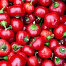 Cherry Pepper Capsicum annuum seeds for garden planting