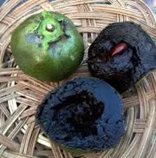Sapote Fruit Seed Collection for Tropical, Creamy Fruit Growth
