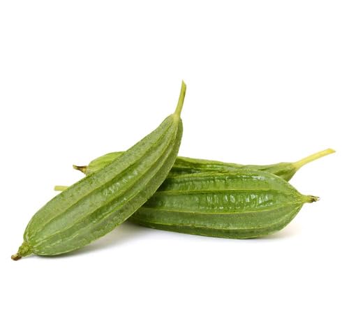 Green Ridge Gourd - Heirloom, Non - Gmo Seeds