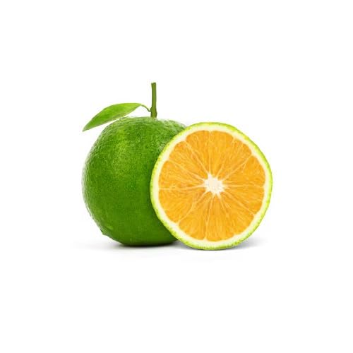 Green Orange Fruit