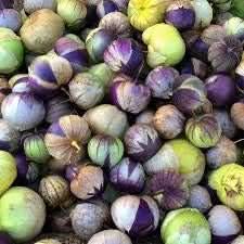 Milpero Purple Tomatillo Vegetable Seeds – Small and Flavorful Variety
