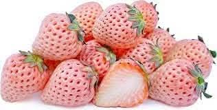Bright Orange Straw Berry Fruit Seeds for Planting - A Rare and Juicy Treat for Garden Enthusiasts