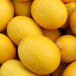 HAMI Melon Cucumis melo yellow variety seeds for planting in home garden