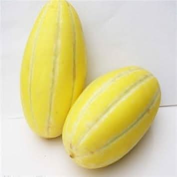 Musk Melon Fruit Seeds Yellow White