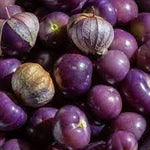 Tomatillo Physalis philadelphica seeds for garden planting