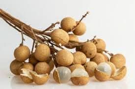 Longan Fruit Seeds - Grow Exotic Longan Trees for Sweet, Juicy Fruits