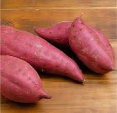 Sweet Potato Ipomoea batatas seeds for garden planting