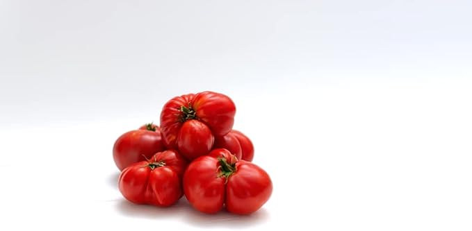 Tomato Solanum lycopersicum Seeds for Planting for Vegetable Patch and Home Garden