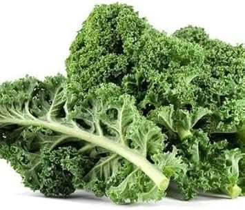 Siberian Kale Seeds for Planting