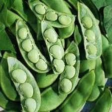 Lima Bean Seeds for Planting