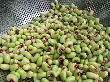Cowpea Seeds for Planting