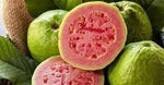 Guava fruit seeds
