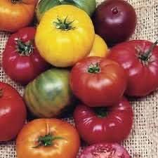 Big Tomato Seeds for Planting Mixed