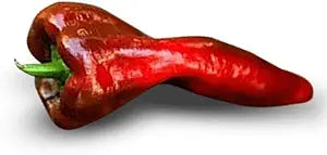 Beaver Dam Pepper Capsicum annuum Vegetable Seeds for Planting in Vegetable Patch