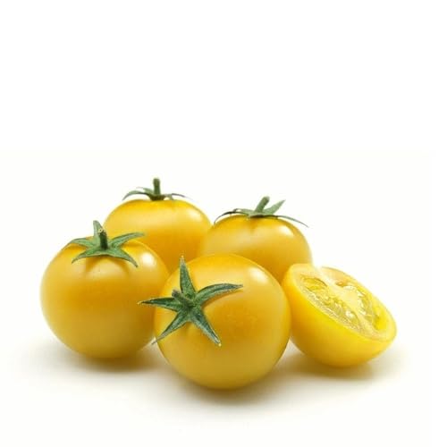 Yellow Tomato - Heirloom, Non - Gmo Seeds