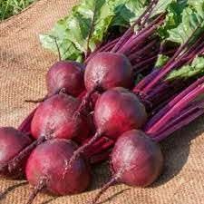 Swede Vegetable Seeds for Planting