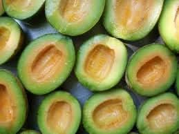 Rocky Ford melon Cucumis melo seeds for heirloom summer bed