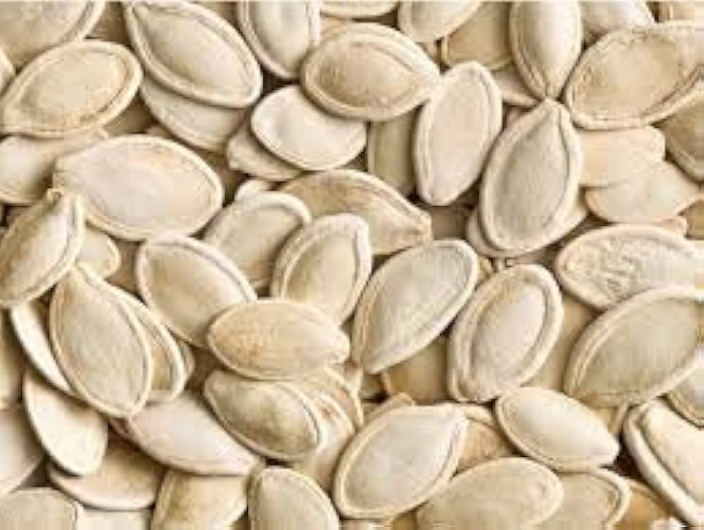 Pumpkin Cucurbita pepo Summer vegetable seeds for planting in home garden or raised garden beds