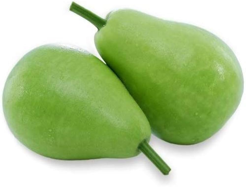 Bottle Gourd (Lagenaria siceraria) seeds for vegetable garden planting